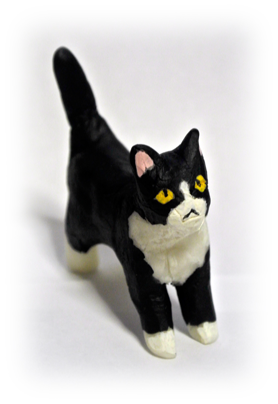 Black and white cat_1