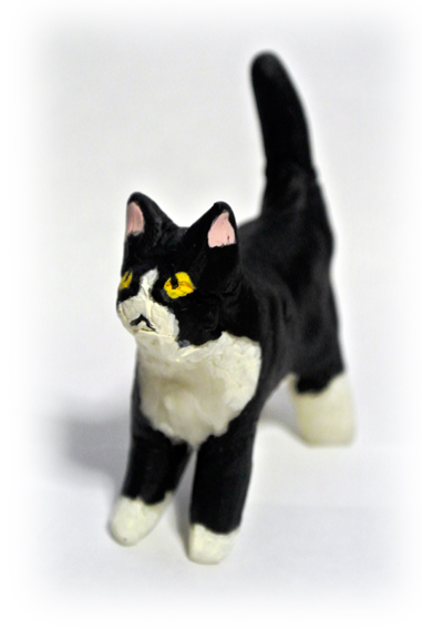 Black and white cat_2