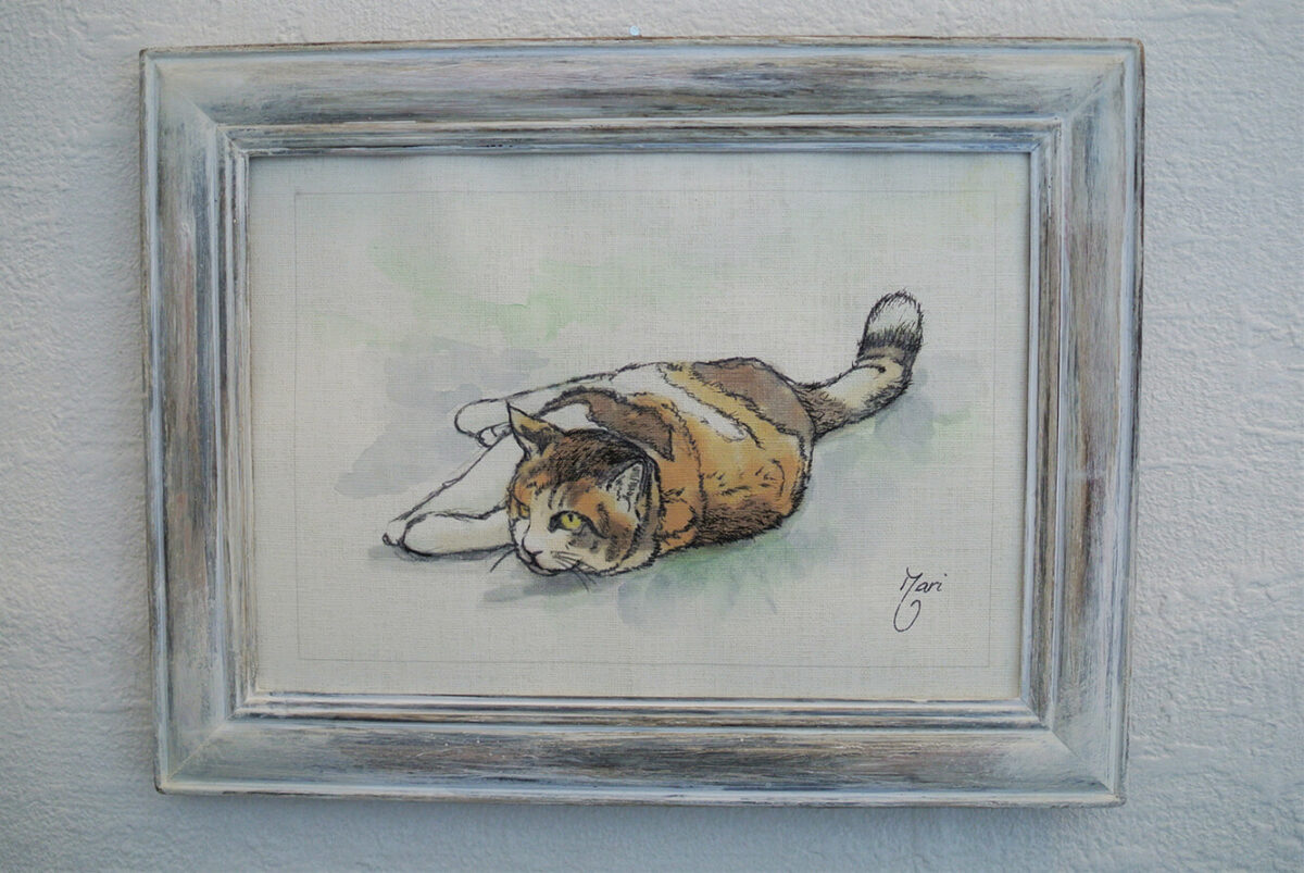 Cat trying to get up