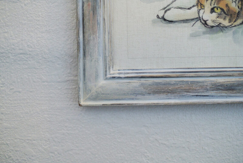 A picture frame of a cat trying to get up