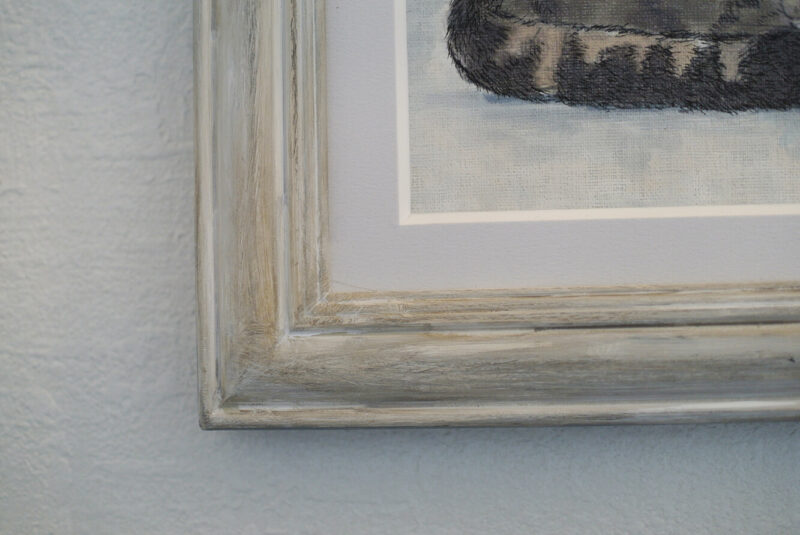 Sleeping Tashirojima cat picture frame