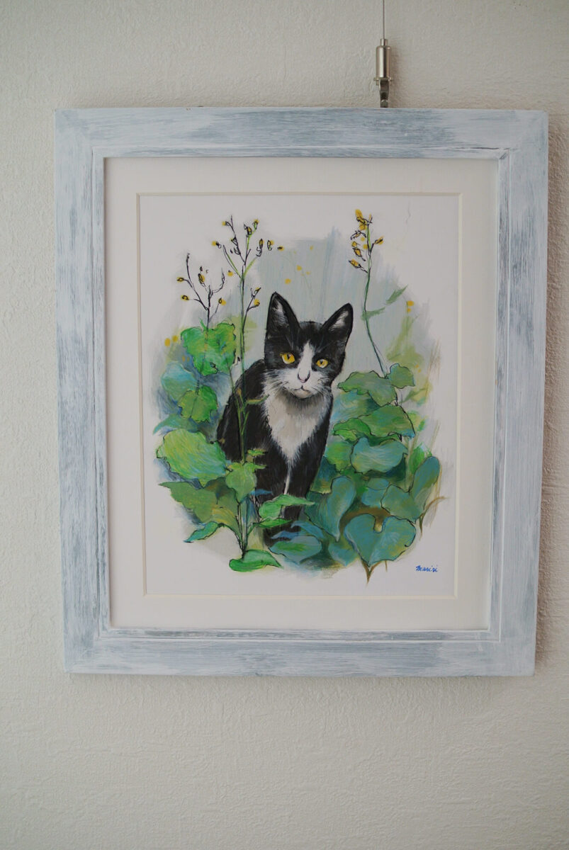 Beautiful cat version 2