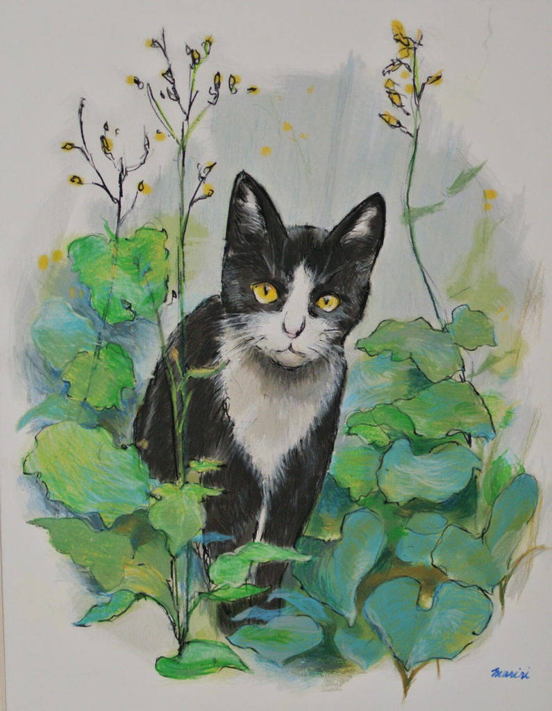 Beautiful cat version 2_up