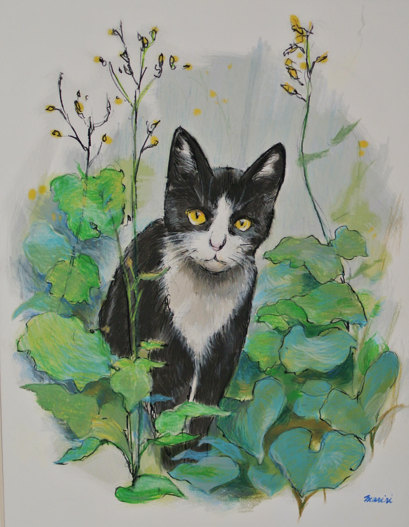 Beautiful cat version 2_up