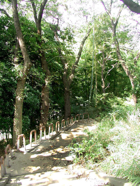 kako-forest-road